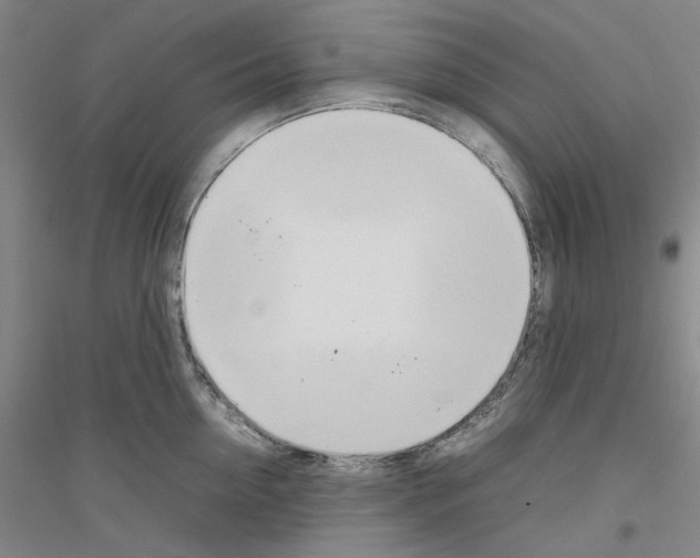 X0000116880954201002021145