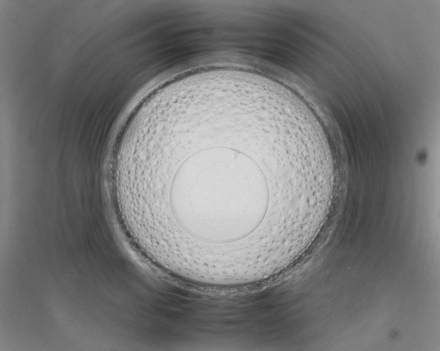 X0000116880955201002021145