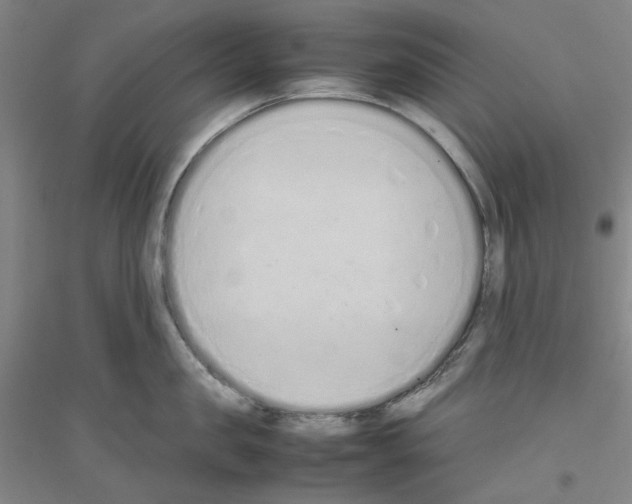 X0000116880957201002021145