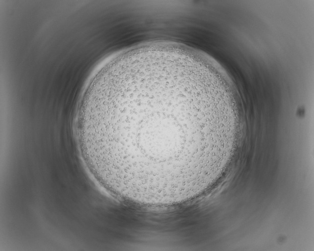 X0000116880959201002021145