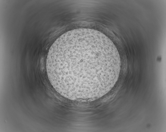 X0000116880962201002021145