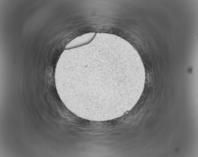 X0000116880963201002021145