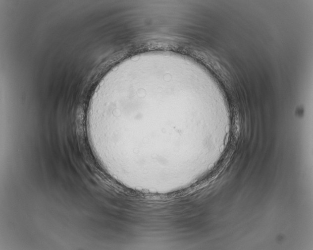 X0000116880964201002021145