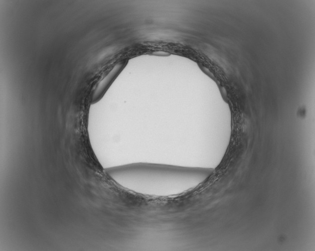 X0000116880965201002021145