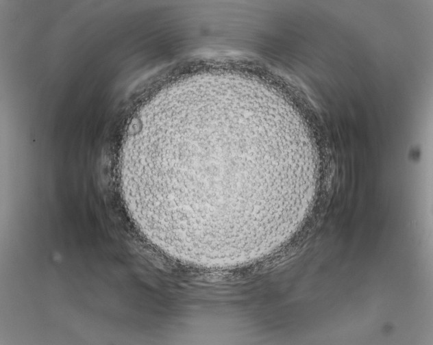 X0000116880966201002021145