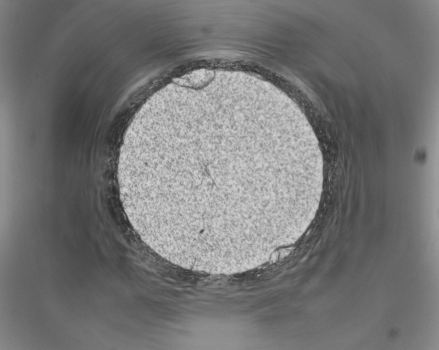 X0000116880967201002021145