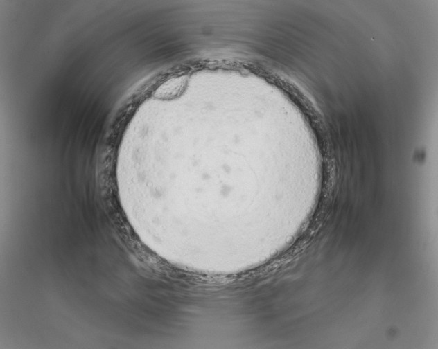 X0000116880968201002021145