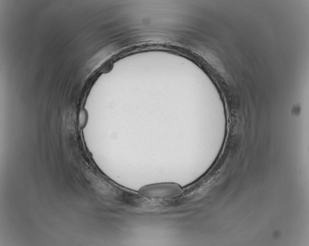 X0000116880969201002021145