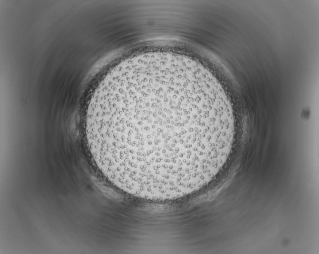 X0000116880970201002021145
