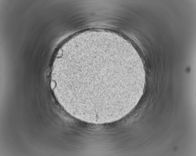 X0000116880971201002021145