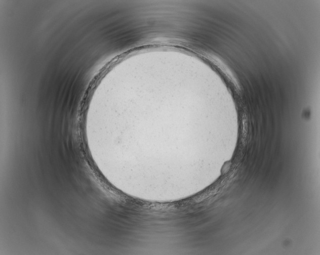 X0000116880972201002021145