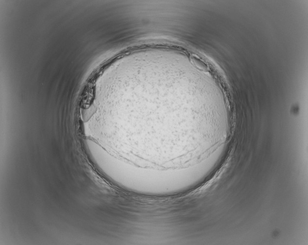X0000116880973201002021145