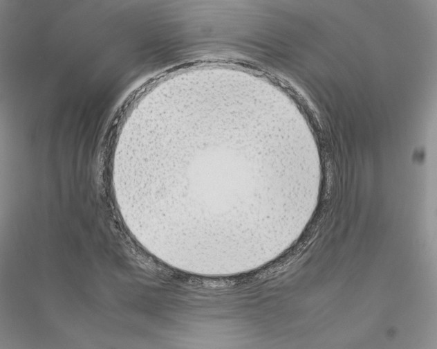 X0000116880975201002021145
