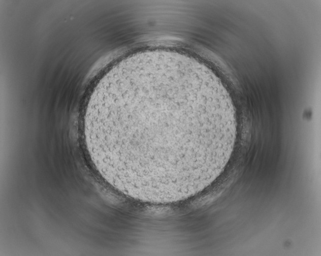 X0000116880978201002021144