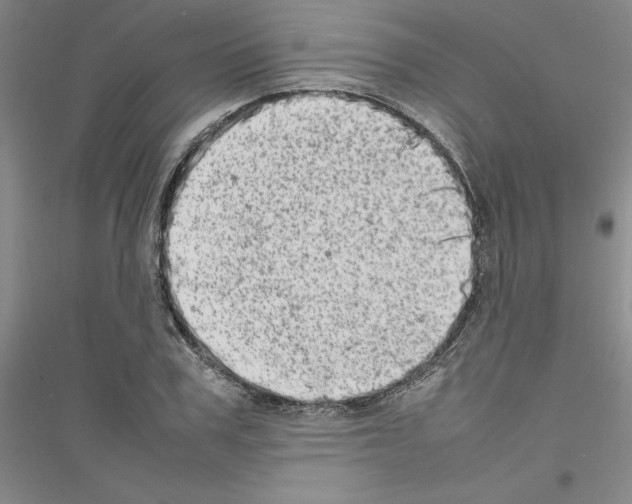 X0000116880979201002021144