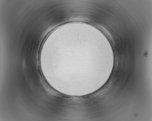 X0000116880980201002021144