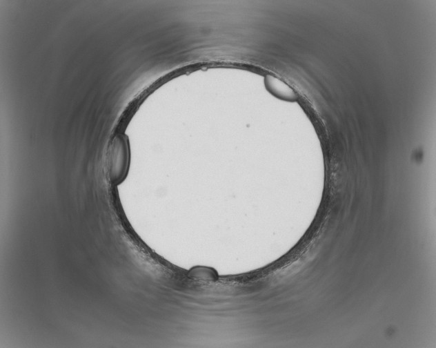 X0000116880981201002021144