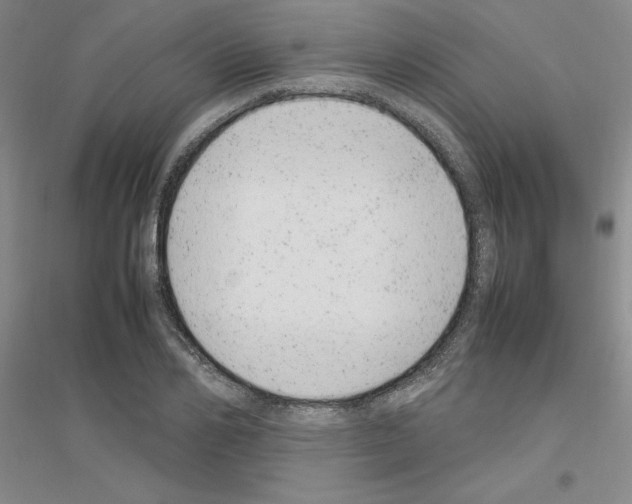 X0000116880982201002021144