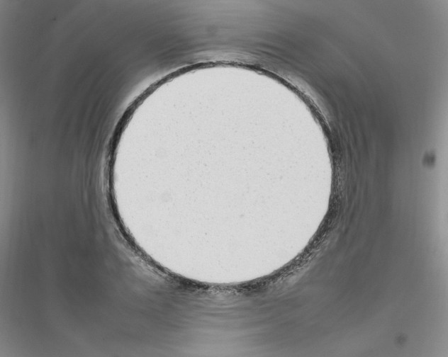 X0000116880983201002021144
