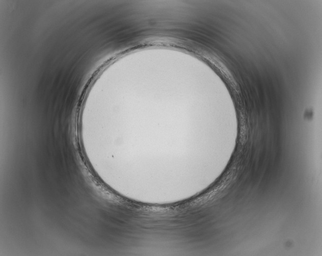 X0000116880984201002021144