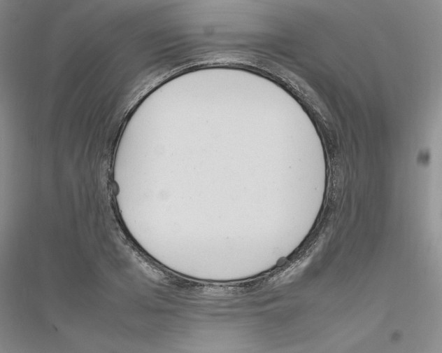 X0000116880985201002021144
