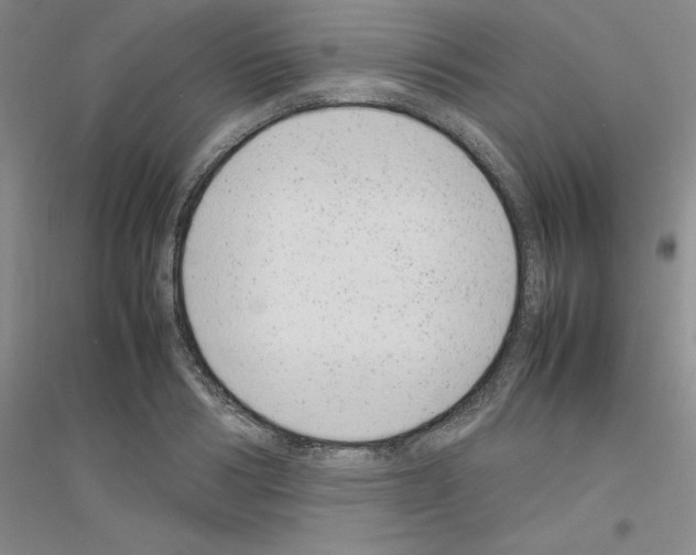 X0000116880986201002021144