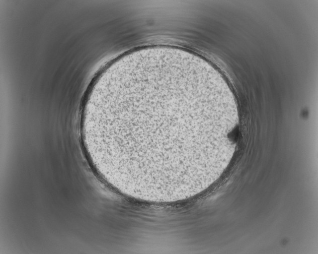 X0000116880987201002021144