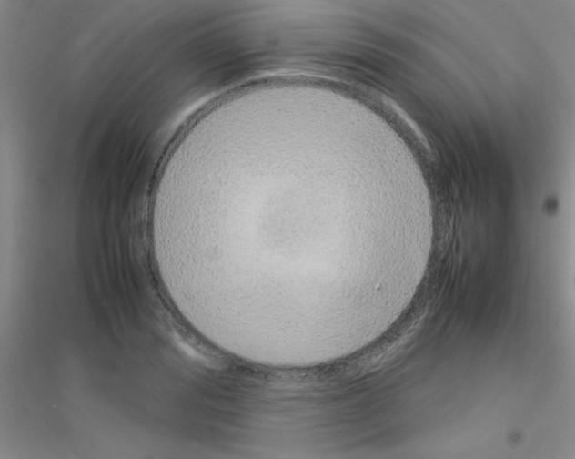 X0000116880988201002021144