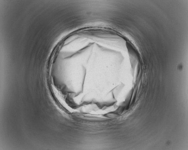 X0000116880989201002021144