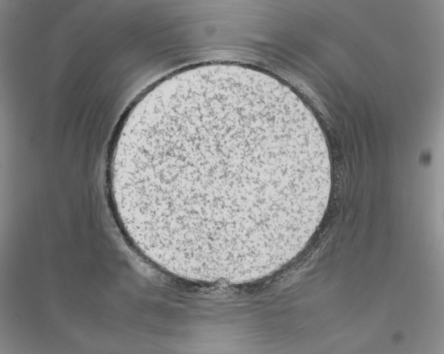 X0000116880991201002021144