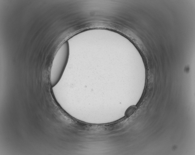 X0000116880993201002021144