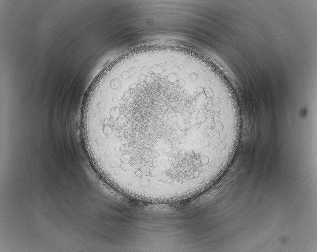 X0000116880994201002021144