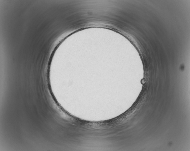 X0000116880995201002021144