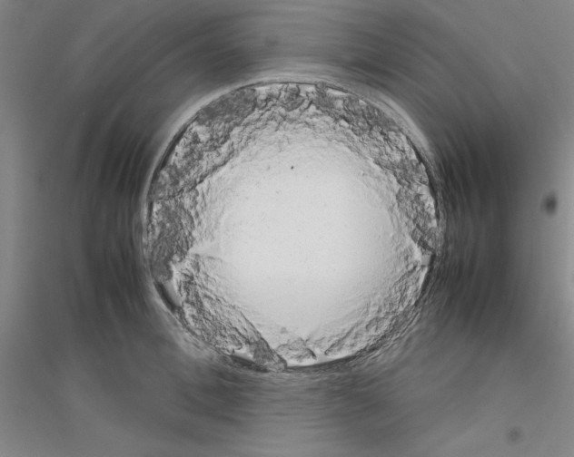 X0000116880996201002021144
