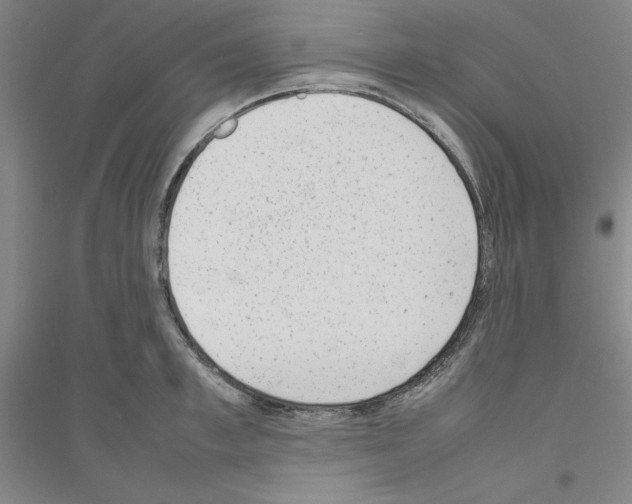 X0000116880997201002021144
