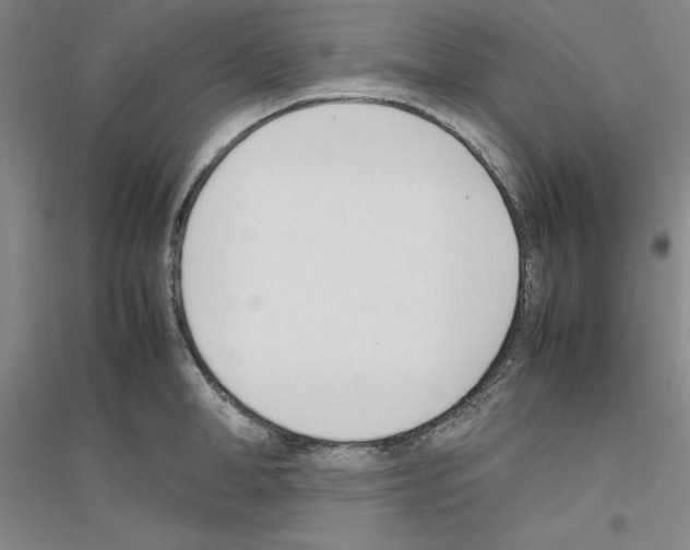 X0000116880998201002021144