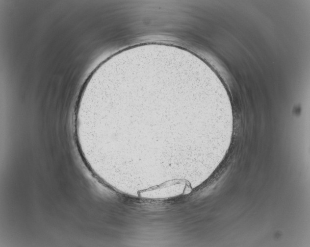 X0000116880999201002021144