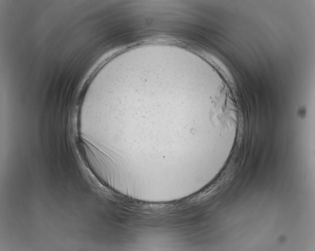 X0000116881000201002021144