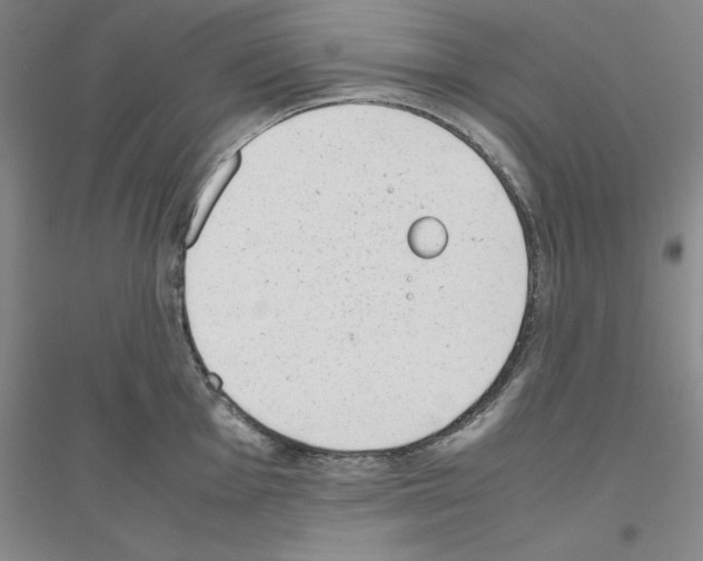 X0000116881001201002021144