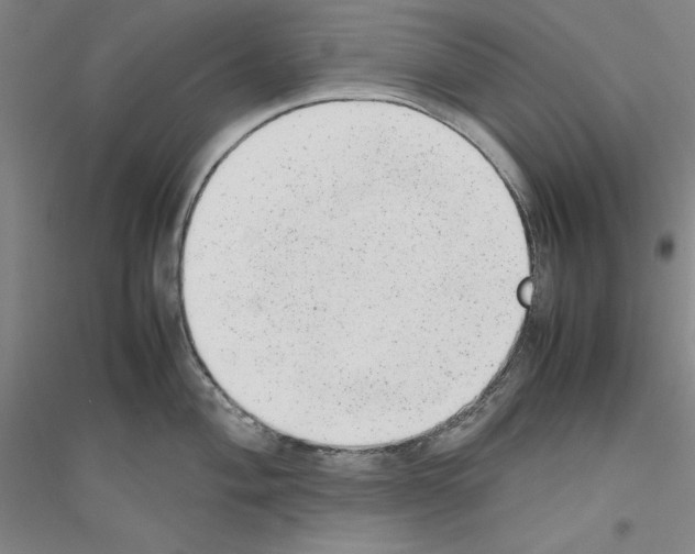 X0000116881004201002021144