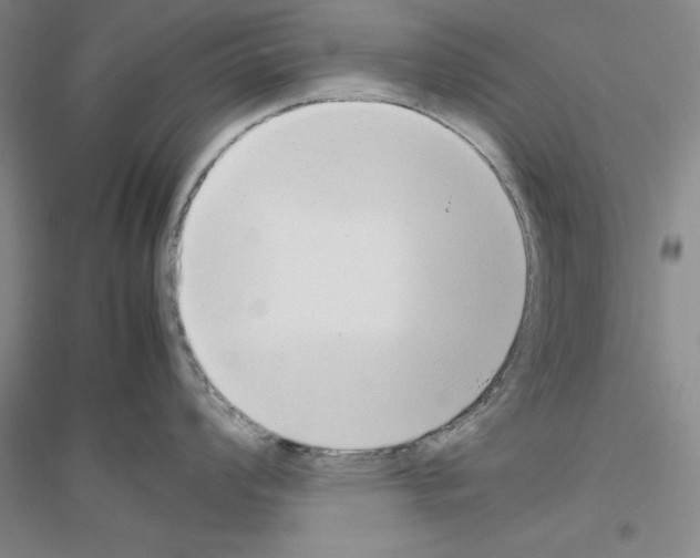 X0000116881008201002021144