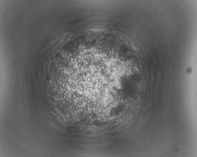 X0000116881009201002021143