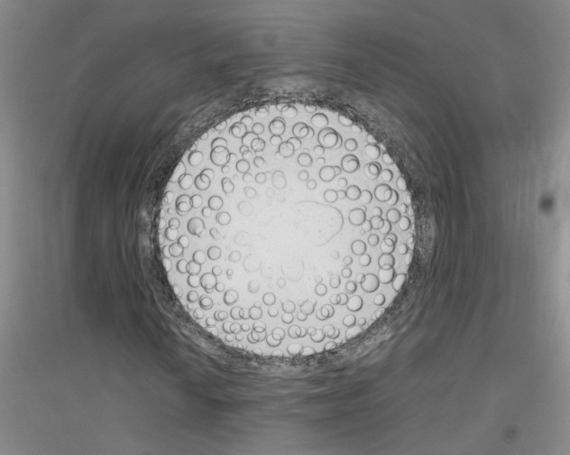 X0000116881010201002021143