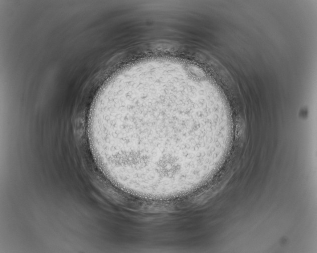 X0000116881011201002021143