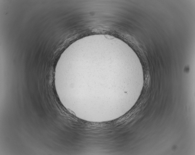 X0000116881012201002021143