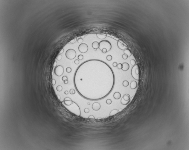 X0000116881014201002021143