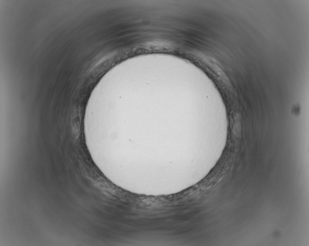 X0000116881015201002021143