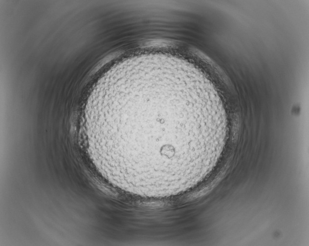 X0000116881017201002021144