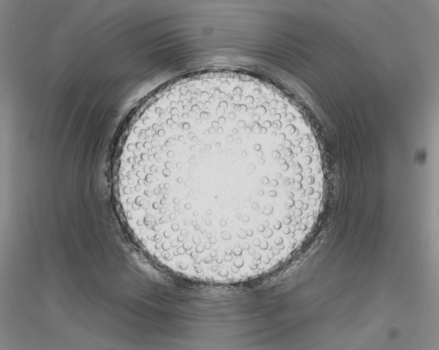 X0000116881018201002021144