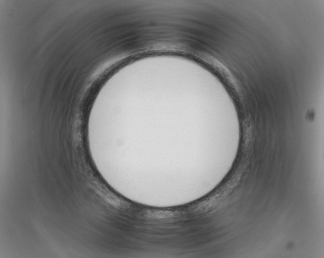 X0000116881019201002021144